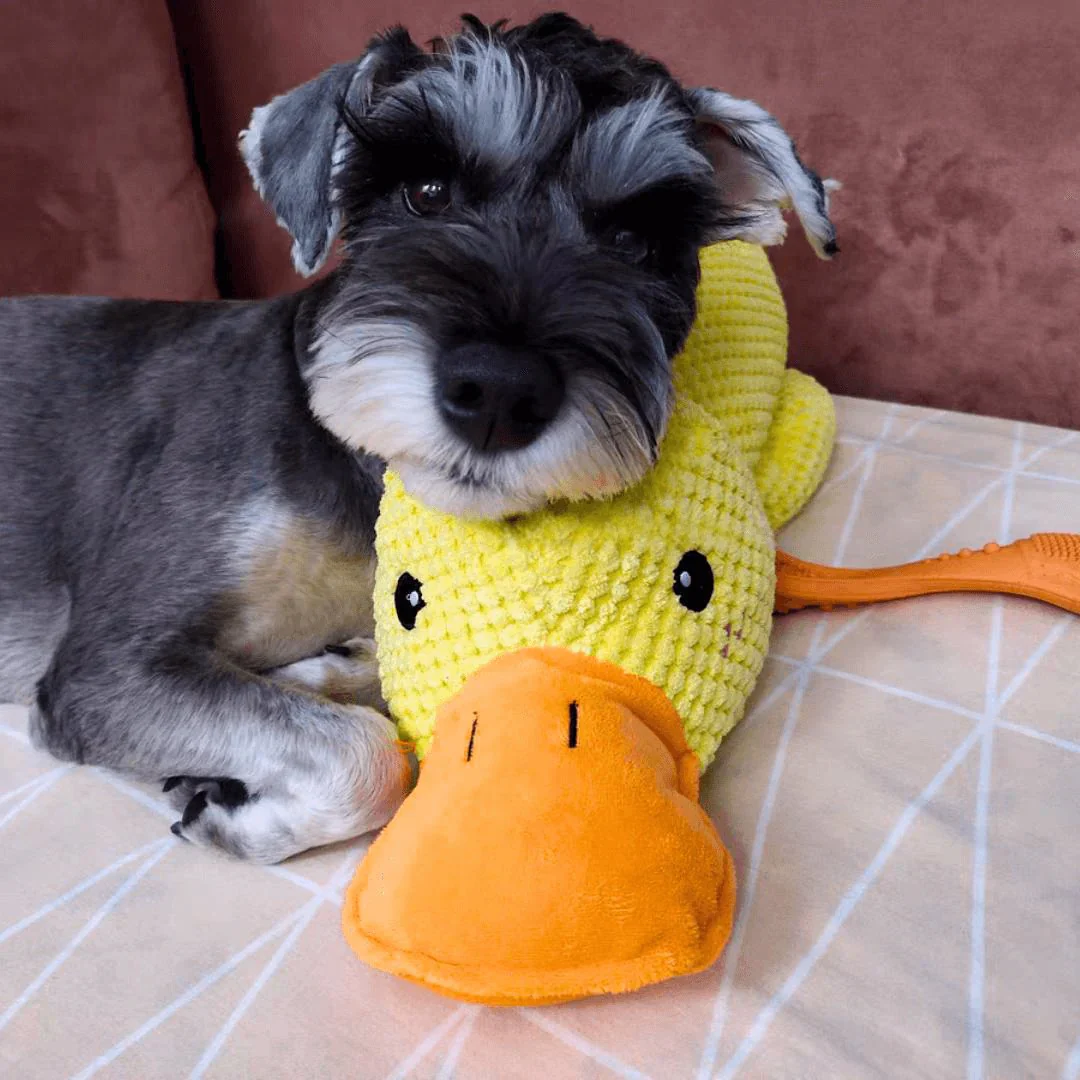 Soothing Yellow Duck Plush | Calming Duck Plush Toy for Dogs